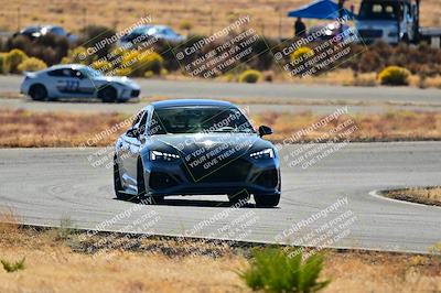 media/Nov-16-2024-Extreme Speed (Sat) [[6587d07cc4]]/Gold Group/Session 2 (Turns 3 and 5)/